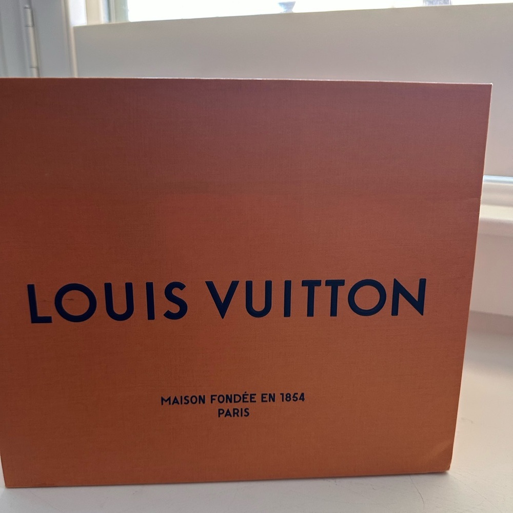 Louis Vuitton Bag